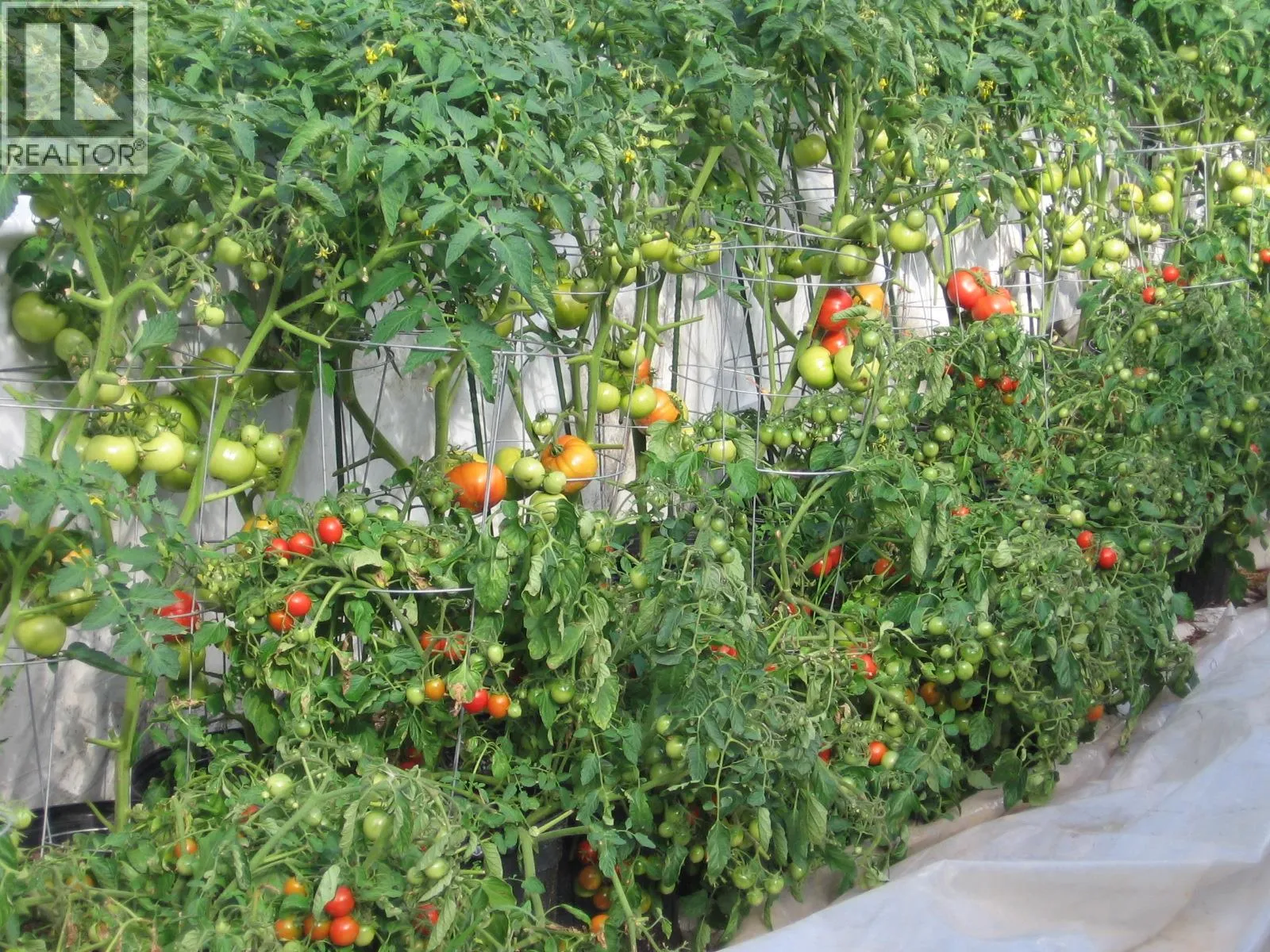 Farm at 240 Riley Crossing Road — photo 2 of 10