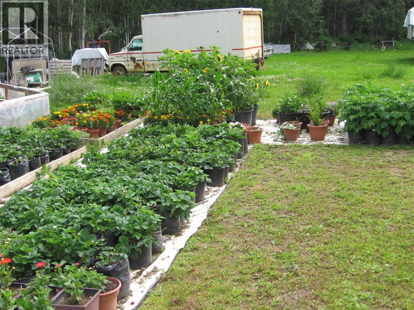 Farm at 240 Riley Crossing Road — photo 4 of 10
