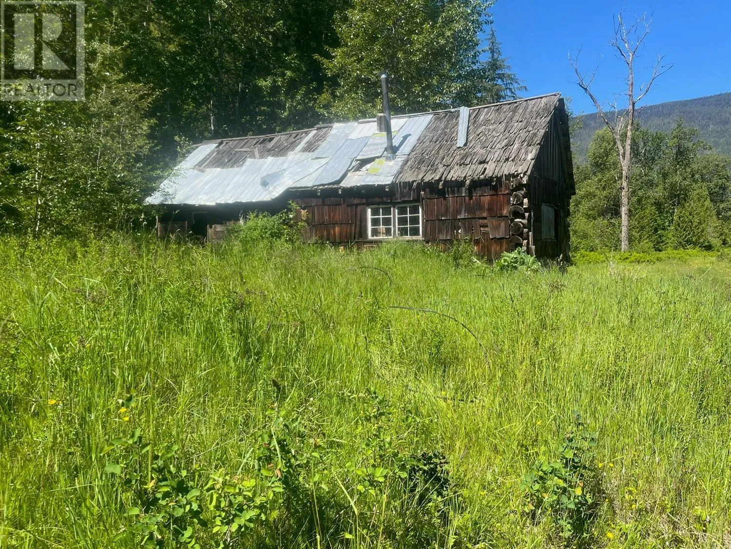 Vacant Land at 2736 Enderby Mabel Lake Road — photo 4 of 16