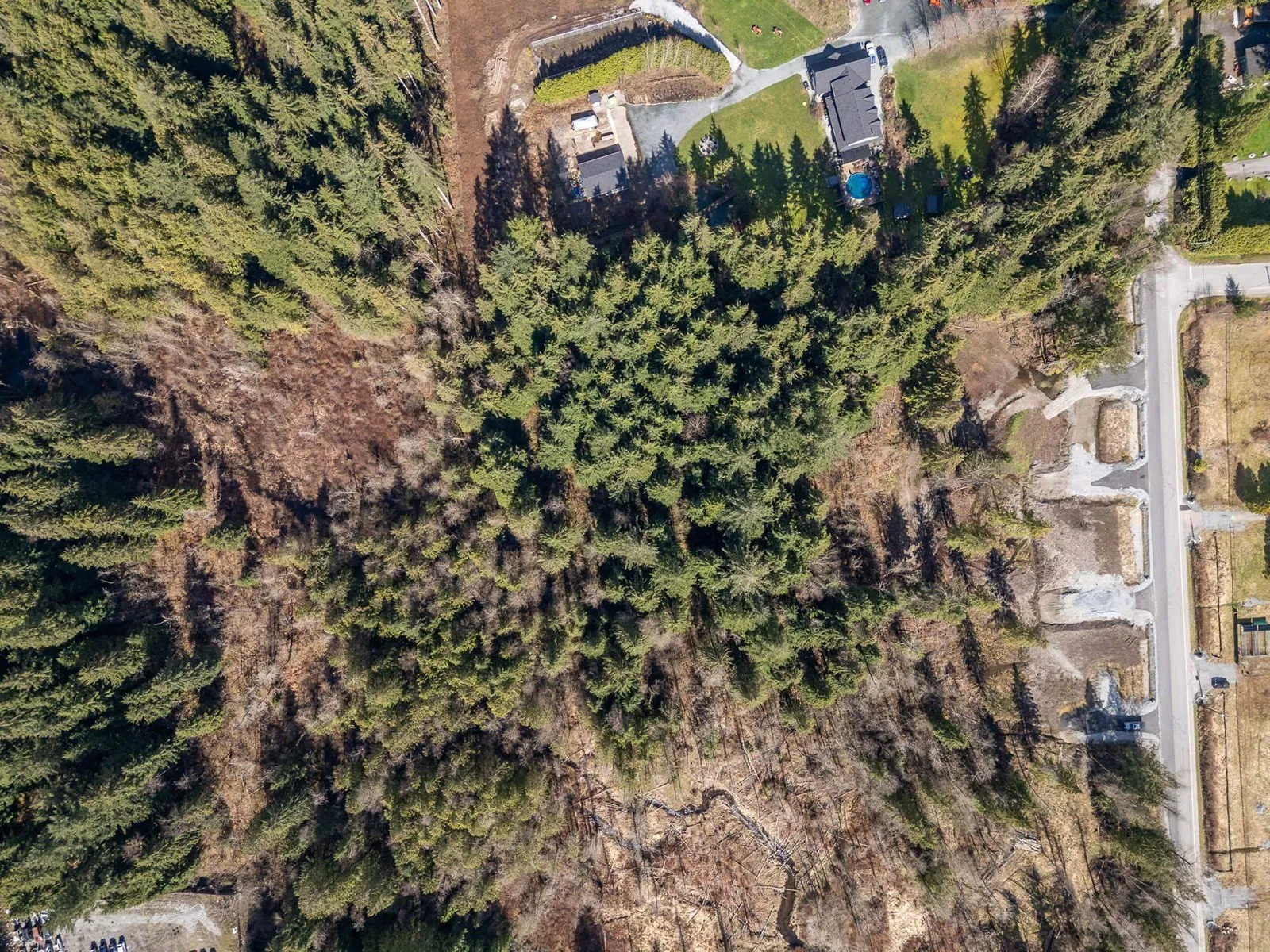 Vacant Land at 12167 ROLLEY LAKE STREET — photo 3 of 16