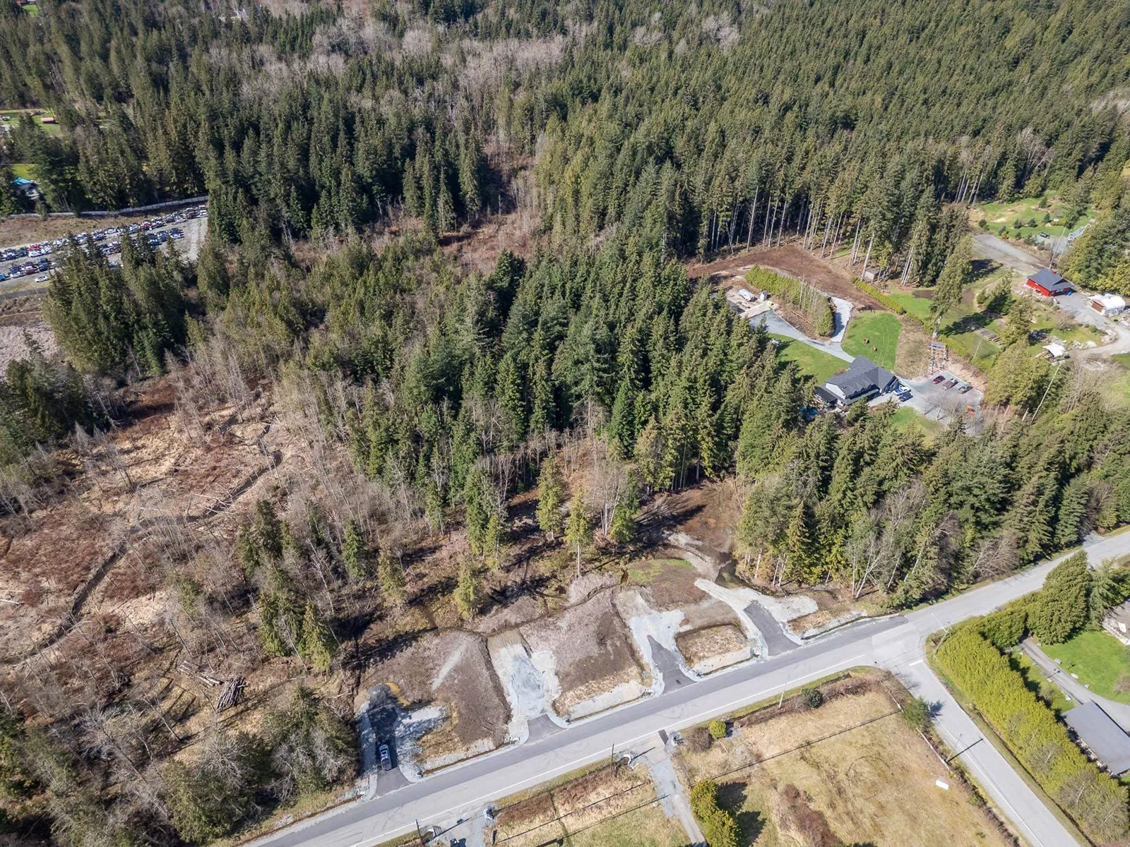 Vacant Land at 12167 ROLLEY LAKE STREET — photo 5 of 16