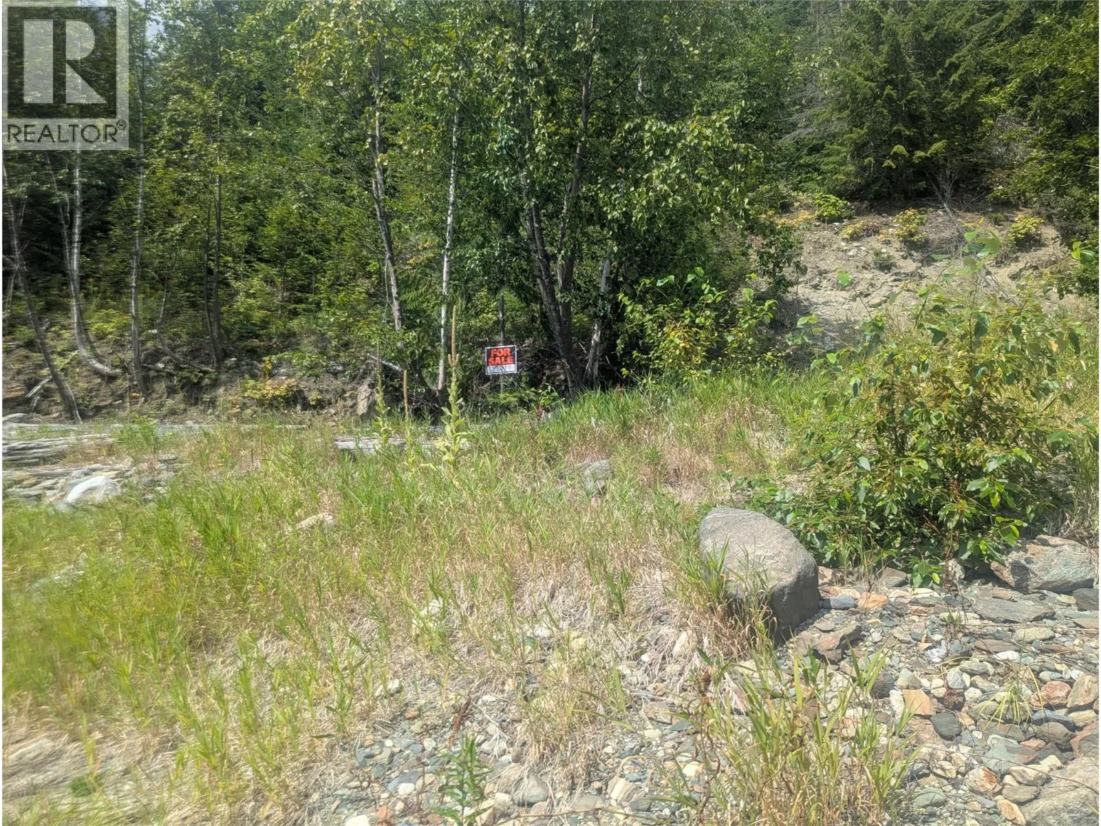 Recreational at Lot 1 Whiskey Pointe — photo 4 of 10
