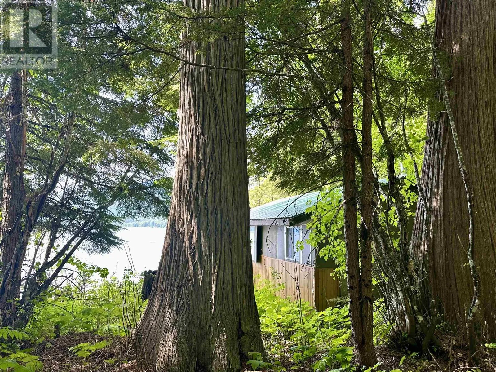 Recreational at DL 5192 EAST ARM QUESNEL LAKE — photo 4 of 31
