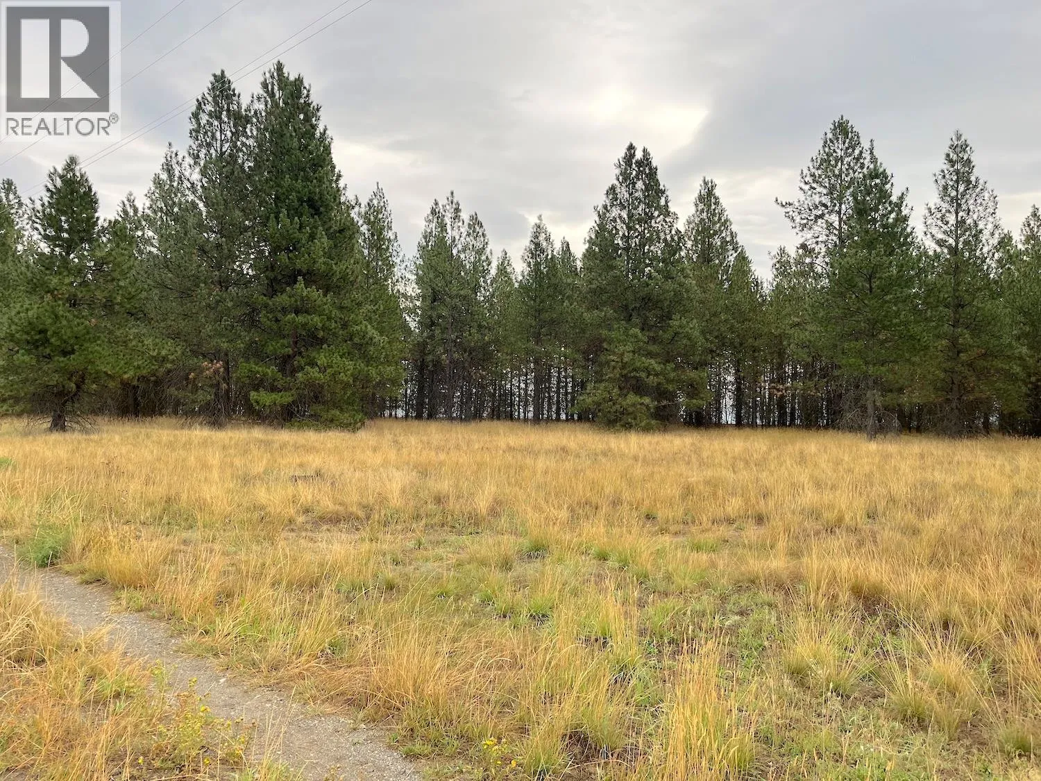 Farm at Highway 3 Lot# 32 — photo 5 of 22