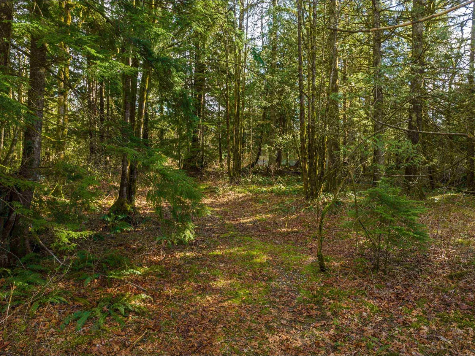 Acreage at 36161 RIDGEVIEW ROAD