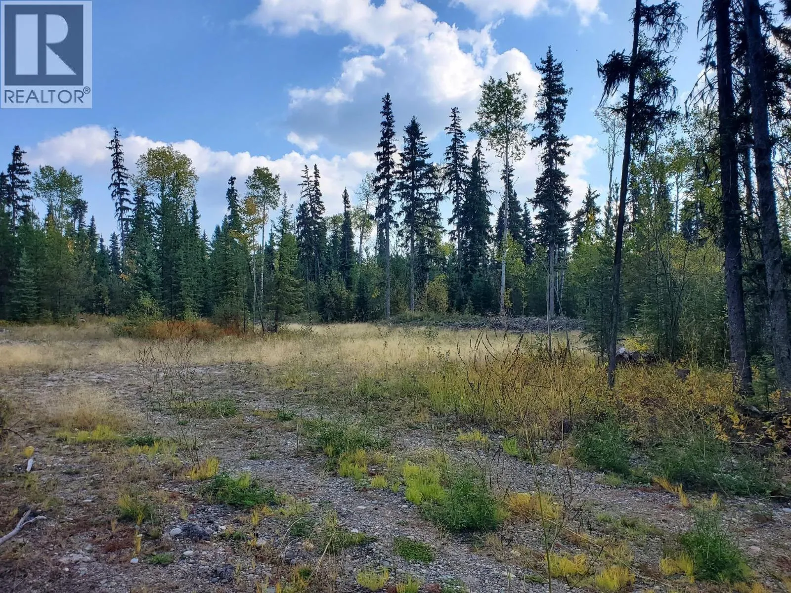 Vacant Land at 10000 W HARTMAN ROAD — photo 2 of 6