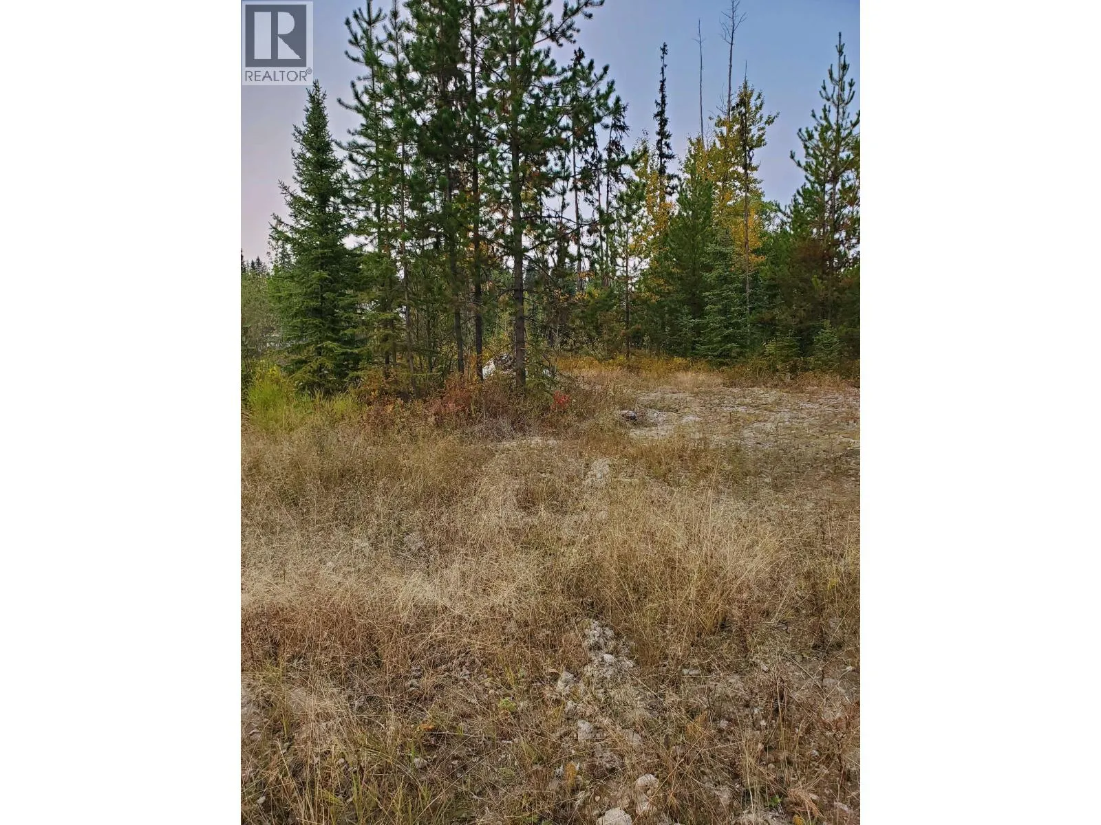 Vacant Land at 10000 W HARTMAN ROAD — photo 4 of 6