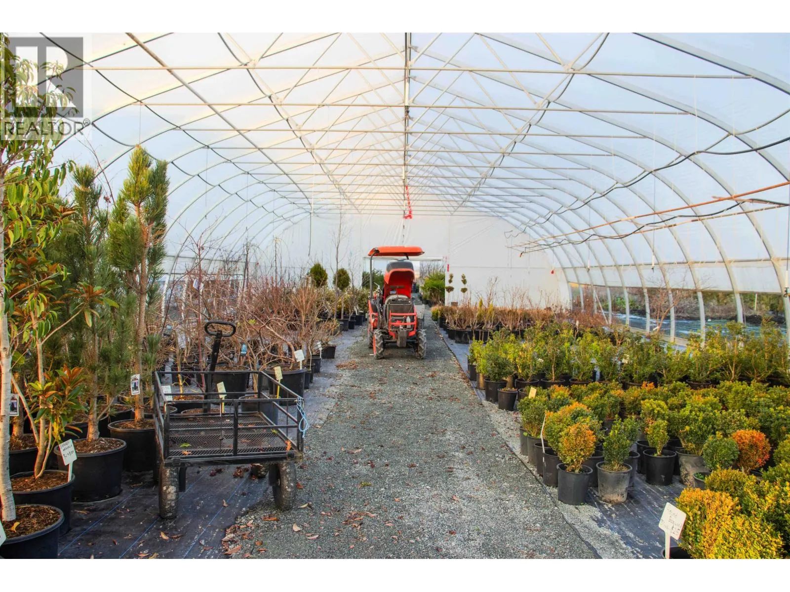Farm at 10641 LADNER TRUNK ROAD — photo 3 of 33