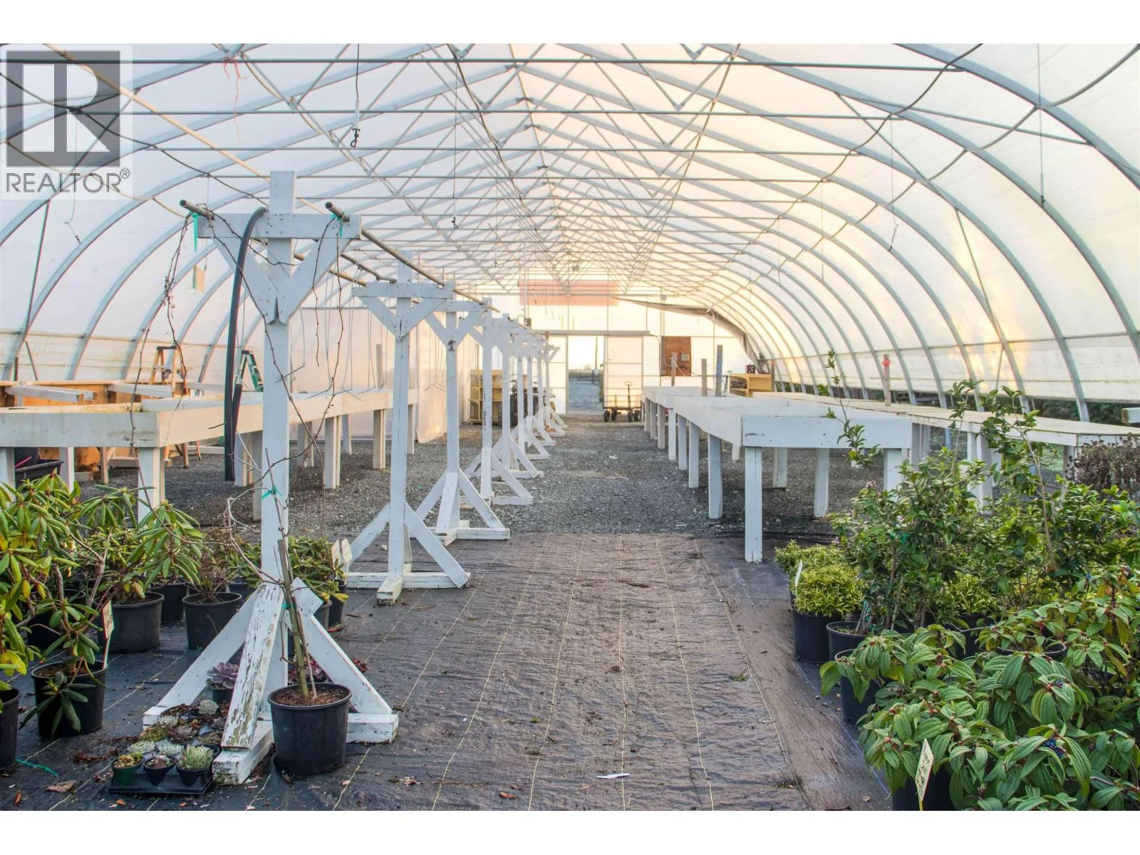 Farm at 10641 LADNER TRUNK ROAD — photo 4 of 33