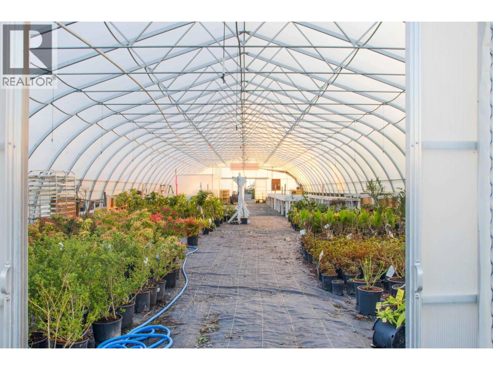 Farm at 10641 LADNER TRUNK ROAD — photo 5 of 33