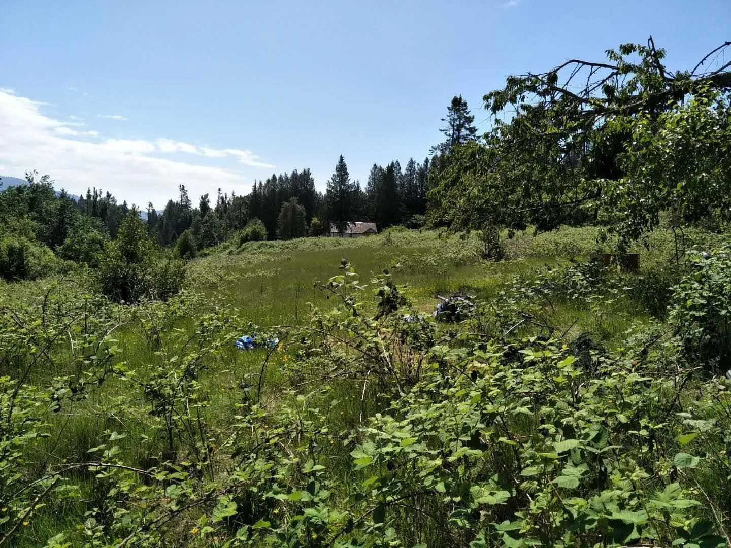 Acreage at 8980 EDWARDS STREET — photo 3 of 5