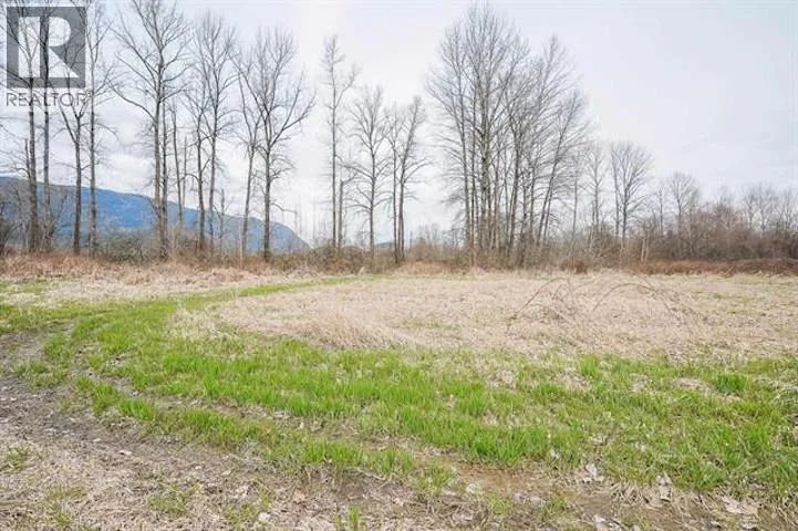 Acreage at 3775 LINCOLN AVENUE — photo 3 of 38