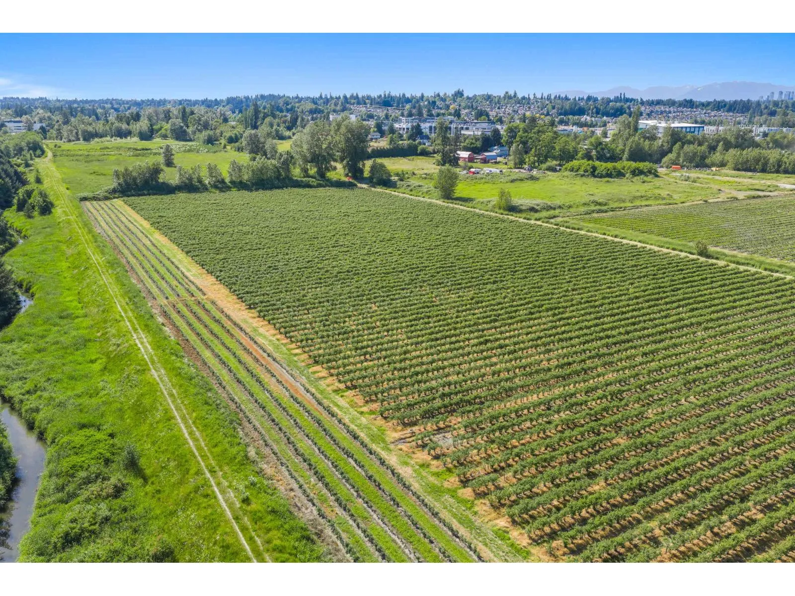 Farm at 15683 64 AVENUE — photo 4 of 36
