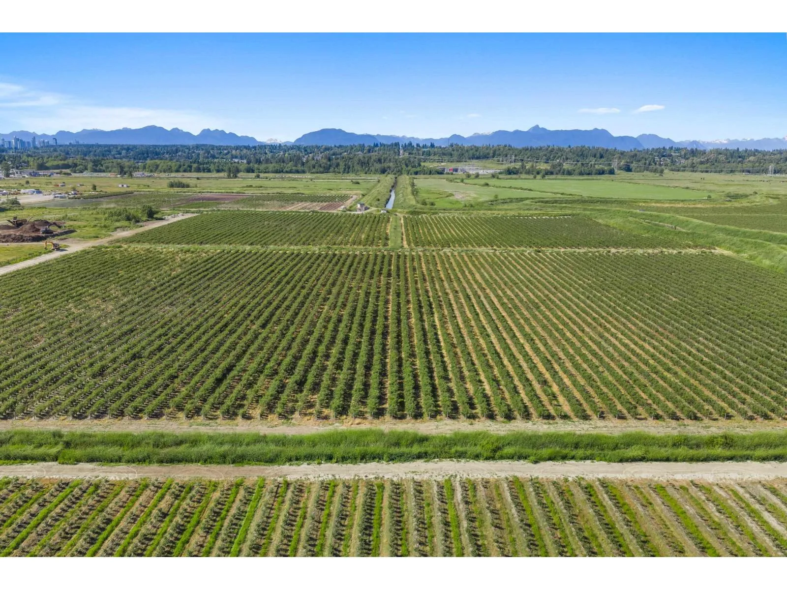 Farm at 15683 64 AVENUE — photo 5 of 36