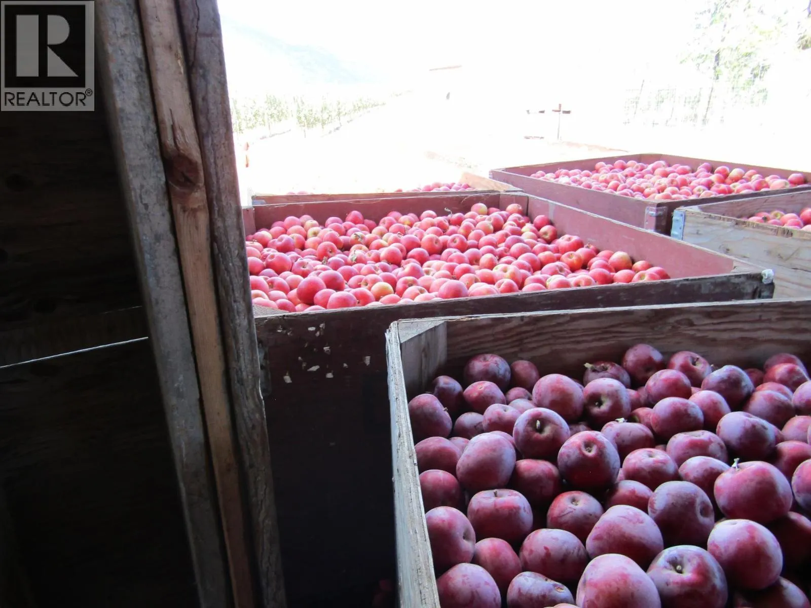 Farm at 2705 75th Avenue — photo 3 of 68