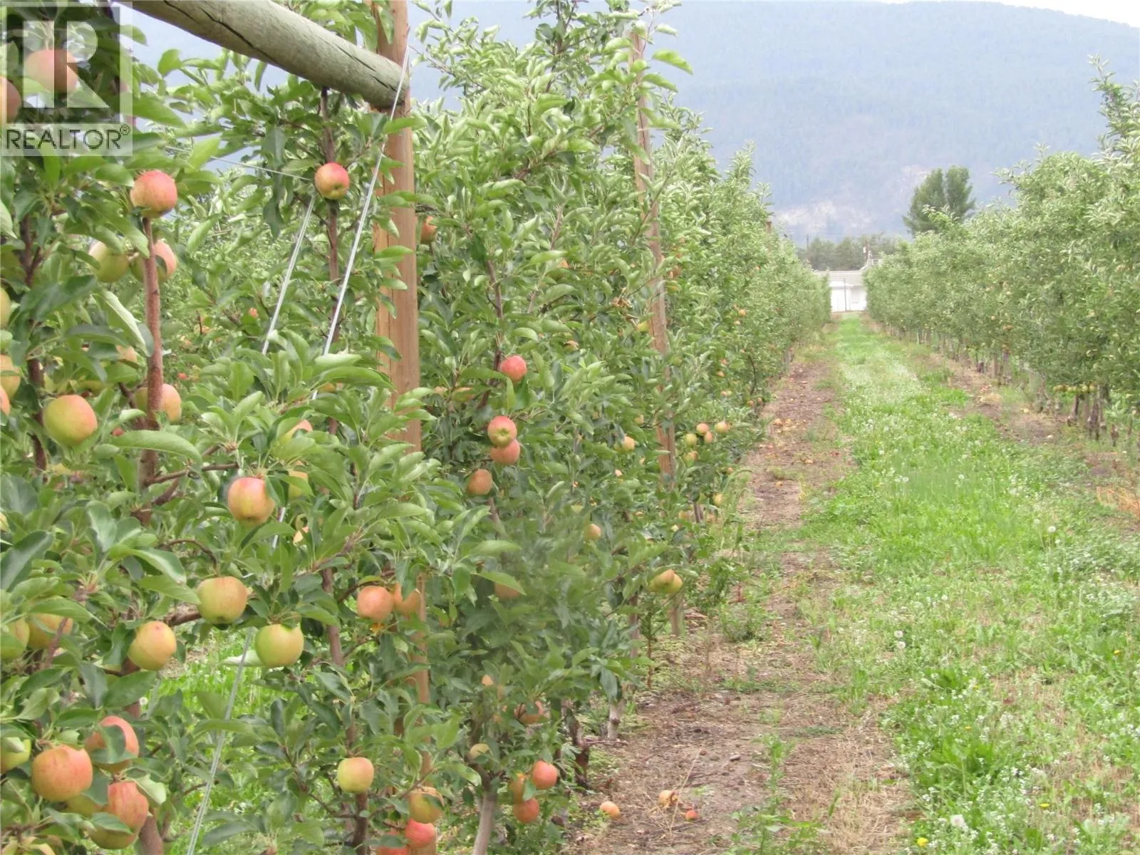 Farm at 2705 75th Avenue — photo 4 of 68