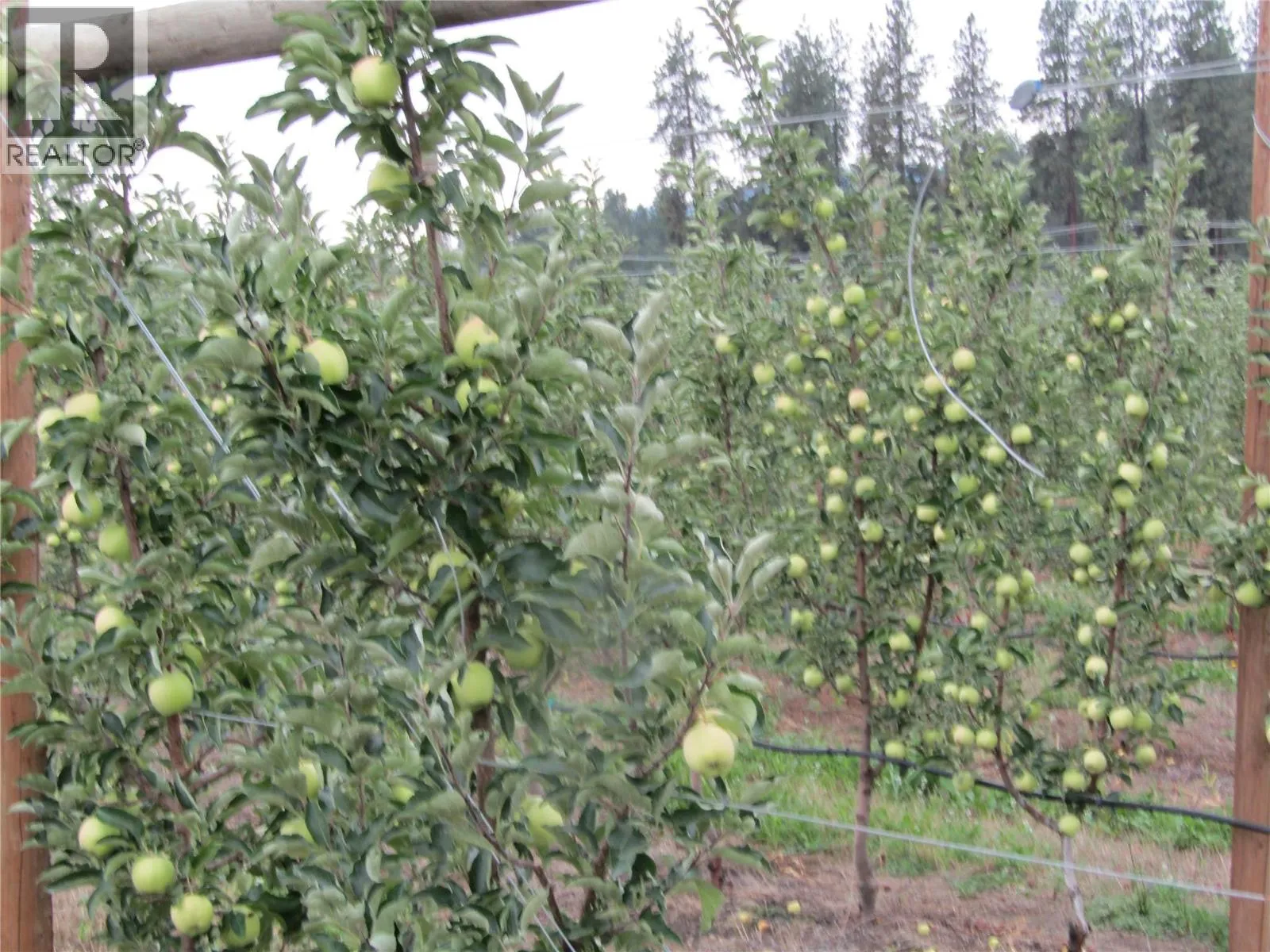 Farm at 2705 75th Avenue — photo 5 of 68