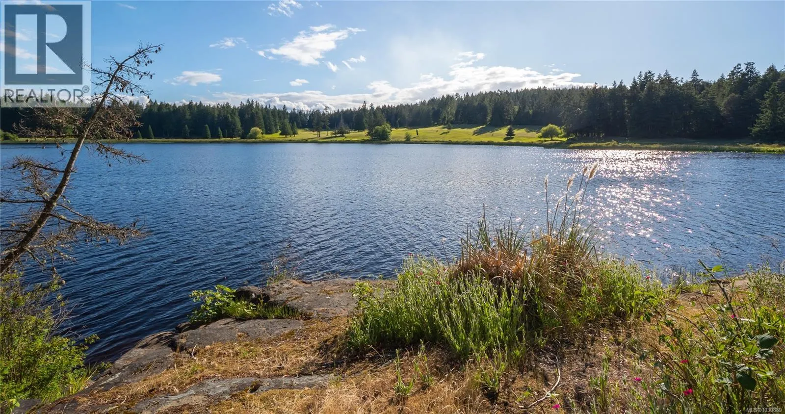 Acreage at 909 South Rd — photo 5 of 71