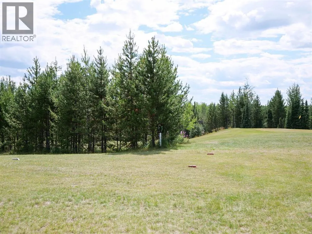 Vacant Land at 5115 NAZKO ROAD — photo 5 of 6