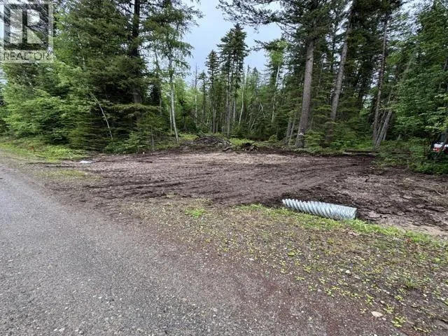 Vacant Land at 22060 COTTAGE CRESCENT — photo 2 of 6