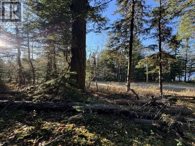 Vacant Land at 22060 COTTAGE CRESCENT — photo 4 of 6