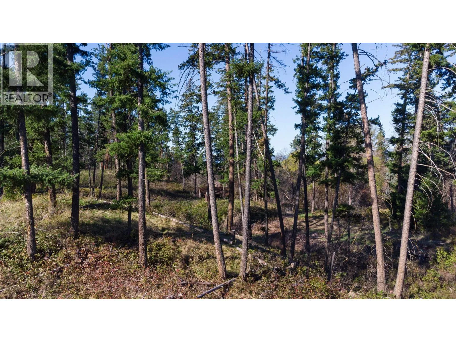 Acreage at 3281 Hall Road — photo 2 of 8