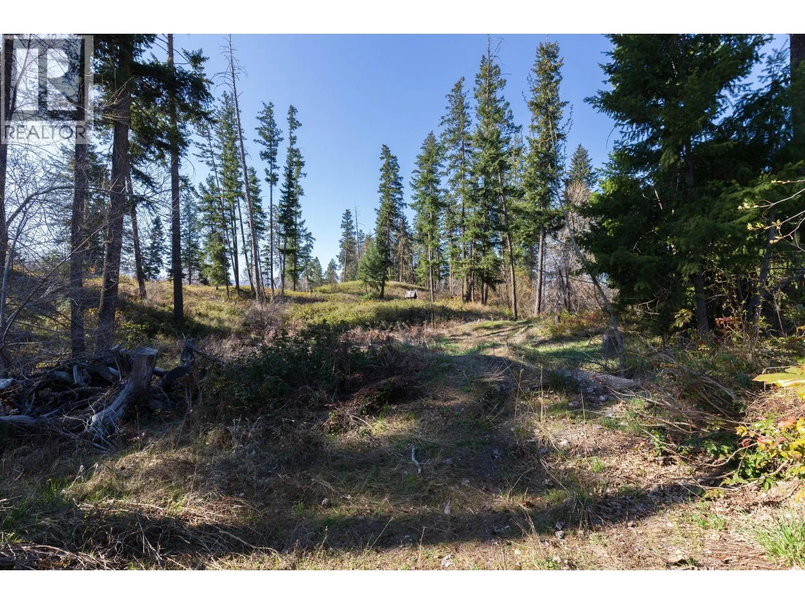 Acreage at 3281 Hall Road — photo 4 of 8