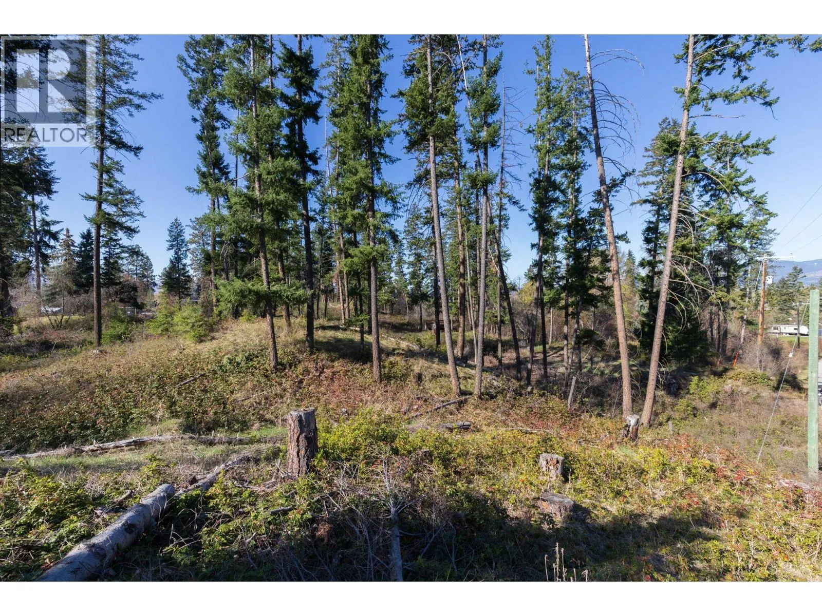 Acreage at 3281 Hall Road — photo 5 of 8