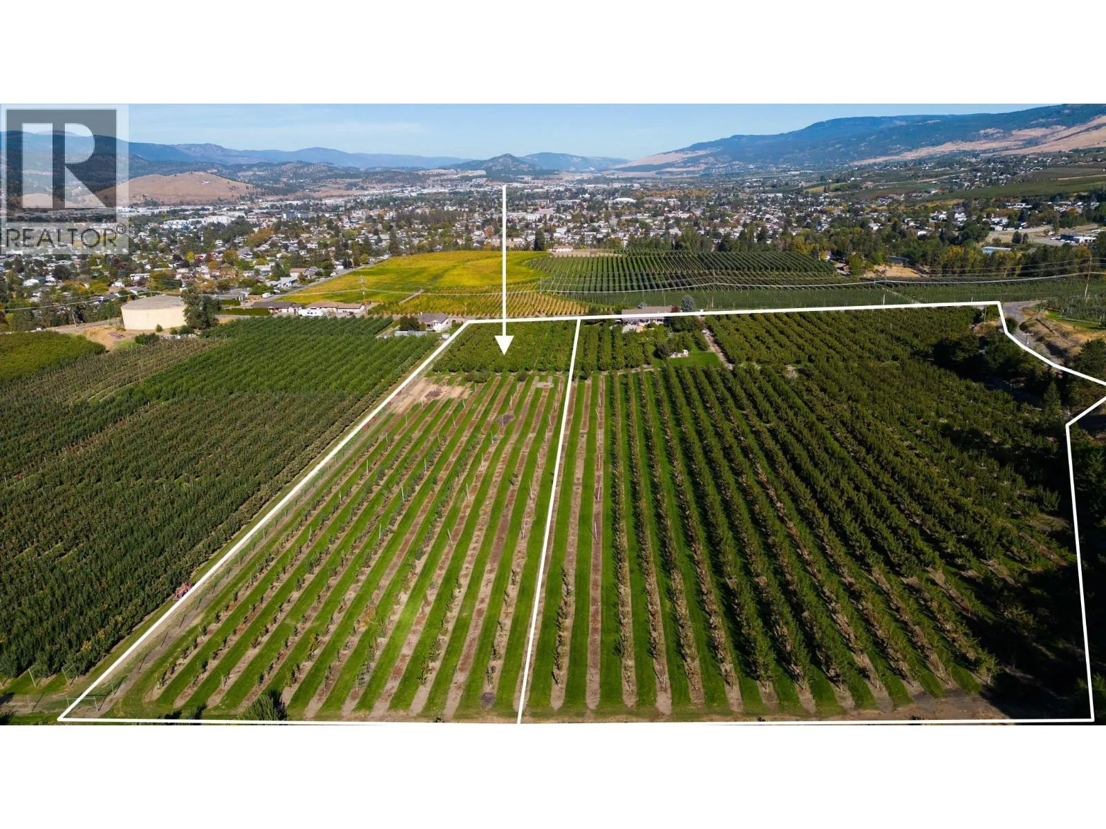 Farm at 1429 Teasdale Road — photo 3 of 12