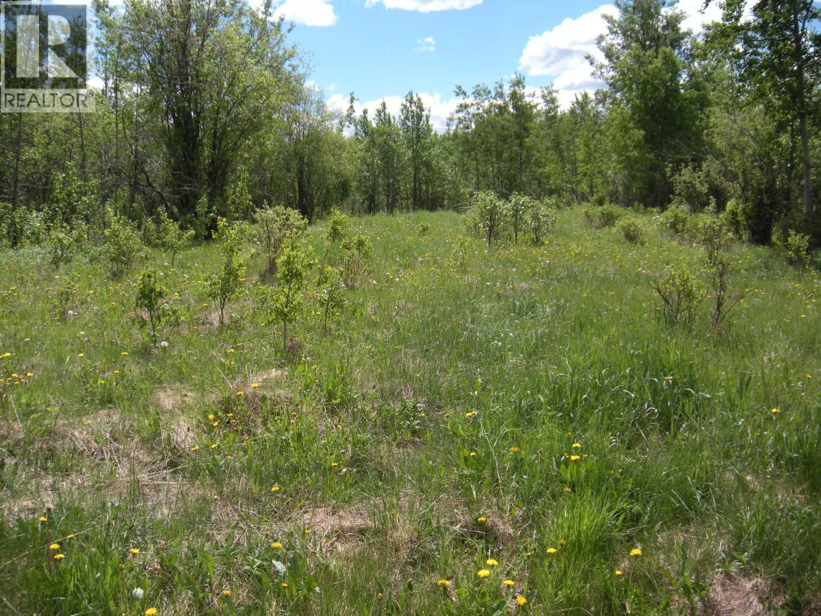 Farm at 206 SW 1/4 SEC 36 Road — photo 4 of 21