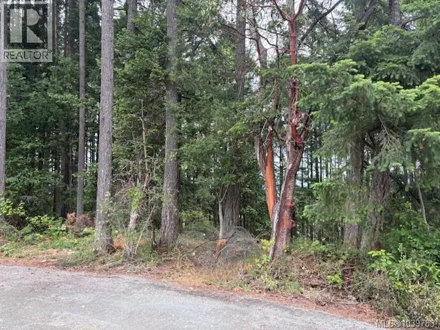 Vacant Land at 293 Adderly Rd — photo 3 of 4