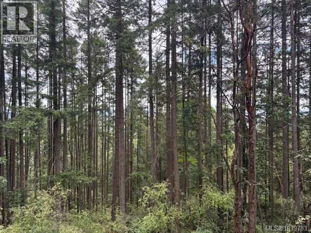 Vacant Land at 293 Adderly Rd — photo 4 of 4