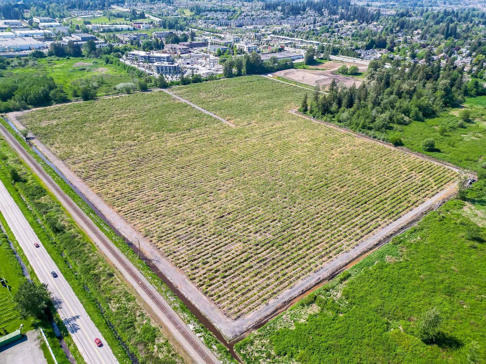 Farm at 15448 56 AVENUE — photo 4 of 22