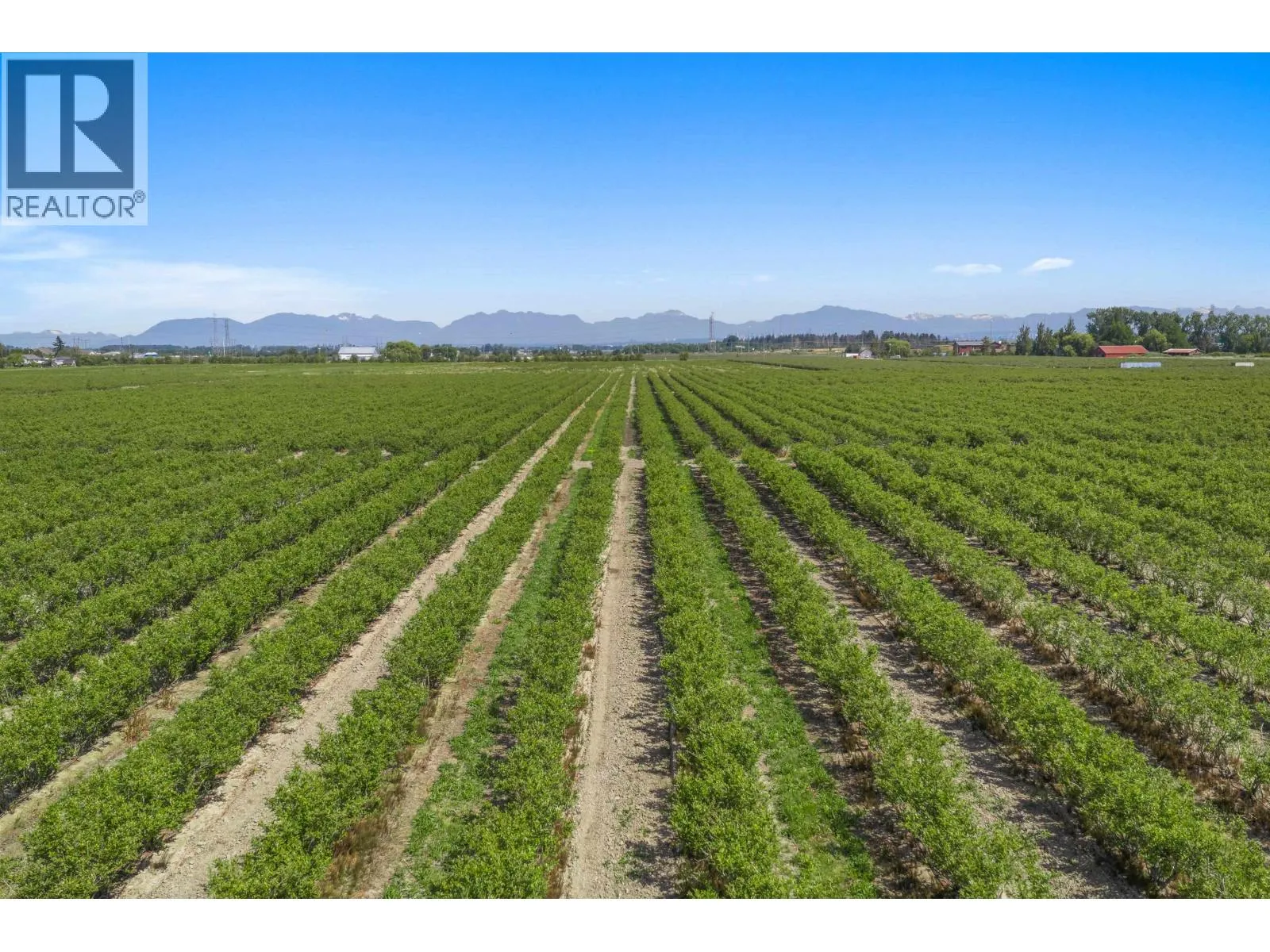 Farm at LOT 7 LADNER TRUNK ROAD — photo 5 of 8
