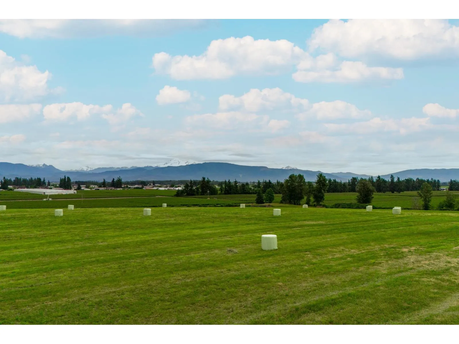 Vacant Land at 28310 HUNTINGDON ROAD — photo 3 of 20