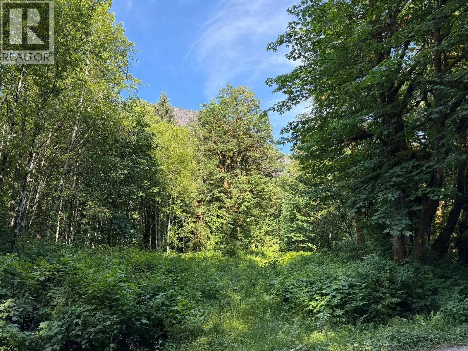 Vacant Land at 5 UPPER PITT RIVER ROAD — photo 2 of 10