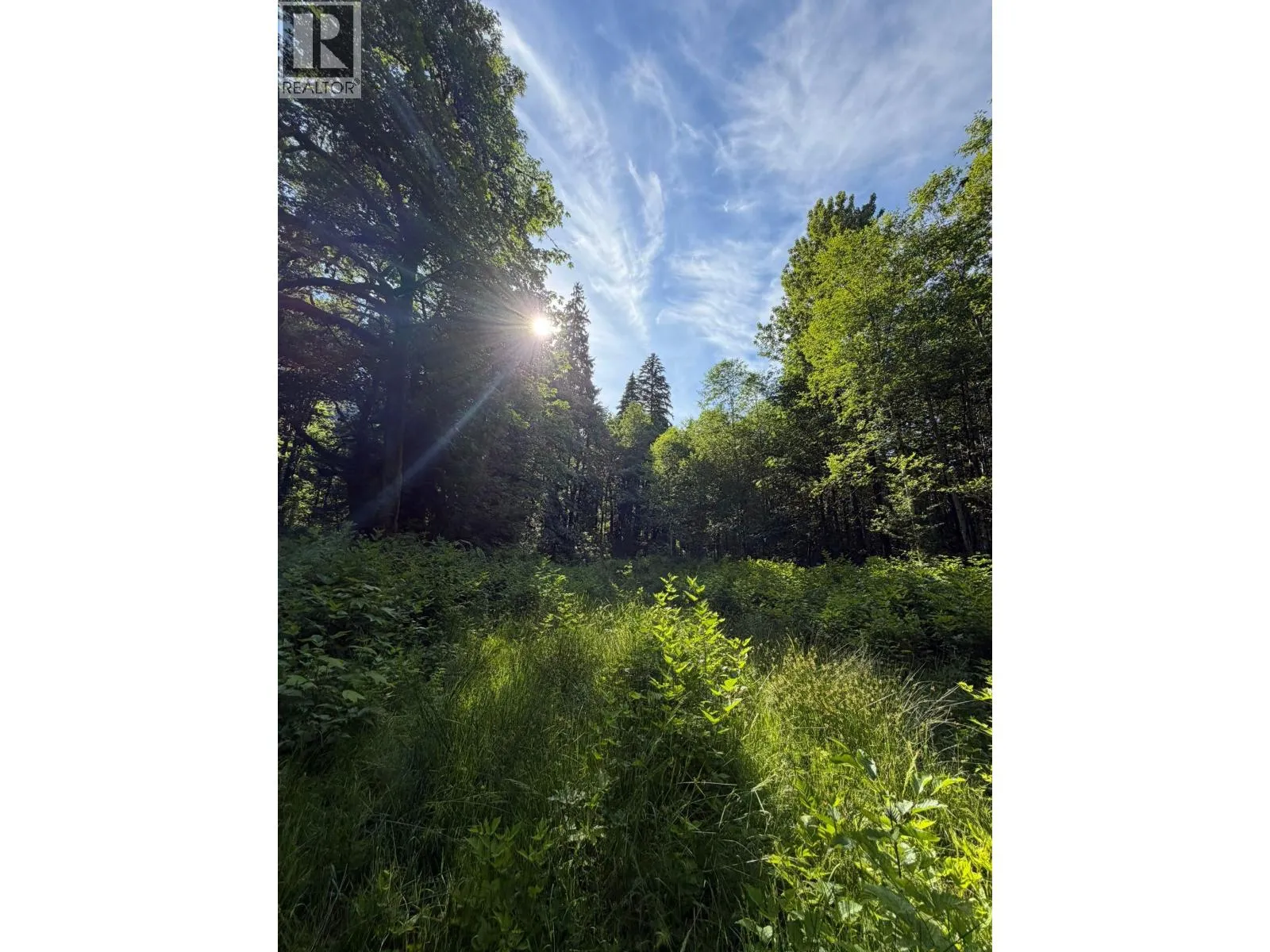 Vacant Land at 5 UPPER PITT RIVER ROAD — photo 3 of 10