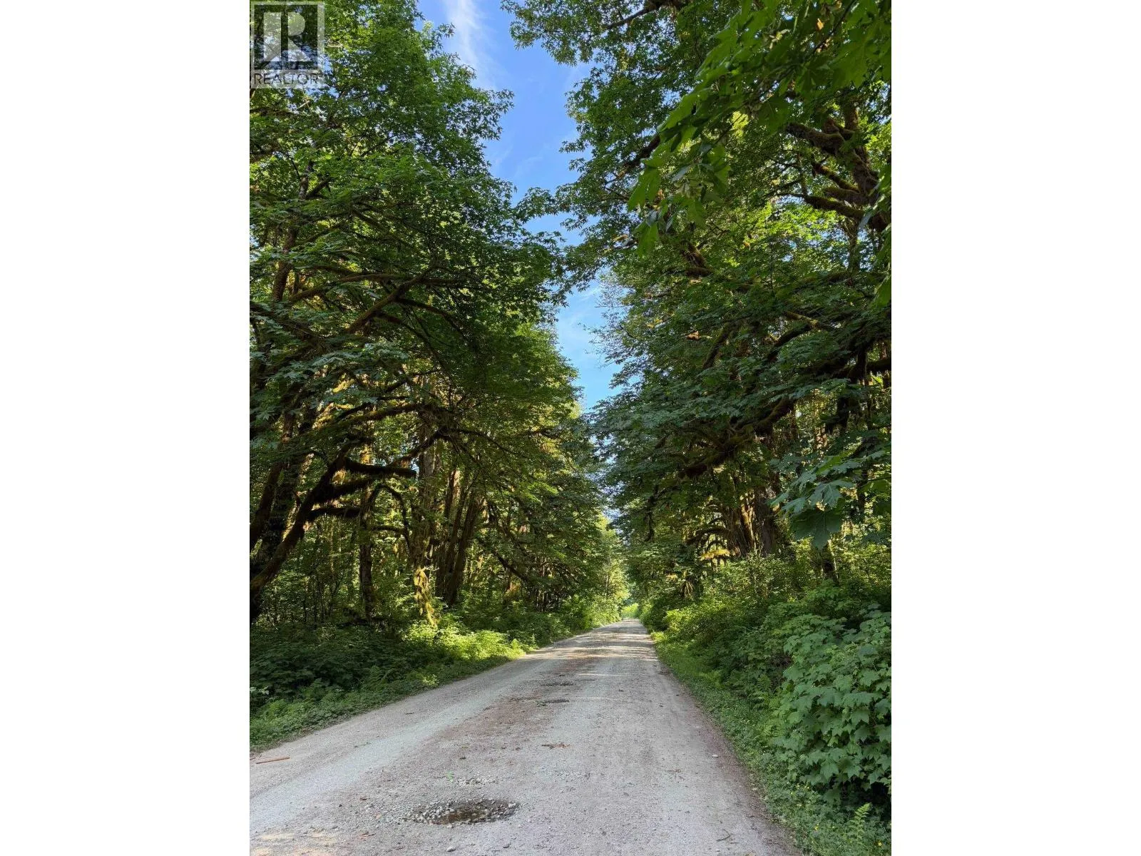 Vacant Land at 5 UPPER PITT RIVER ROAD — photo 4 of 10