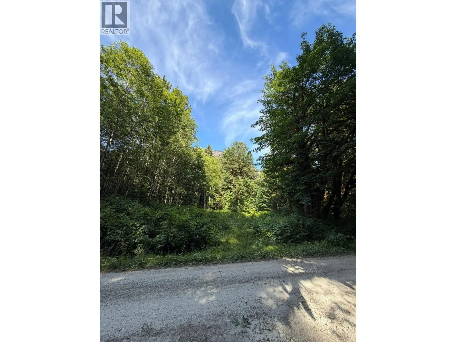 Vacant Land at 5 UPPER PITT RIVER ROAD — photo 5 of 10