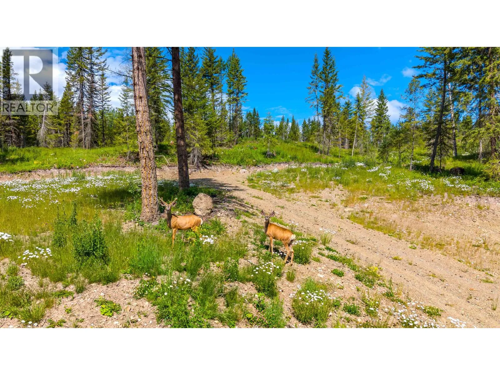 Vacant Land at 6168 DEKA HEIGHTS ROAD — photo 5 of 27