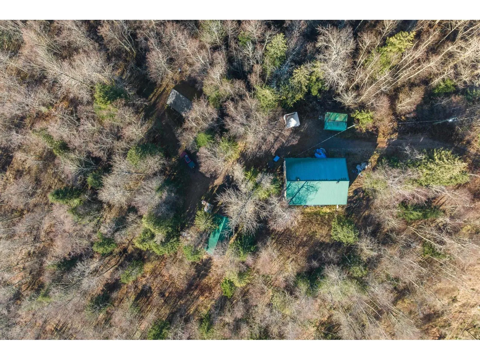 Acreage at 49780 LOOKOUT ROAD, Ryder Lake — photo 3 of 40