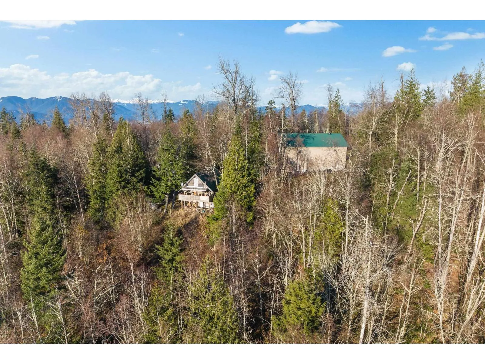 Acreage at 49780 LOOKOUT ROAD, Ryder Lake — photo 4 of 40