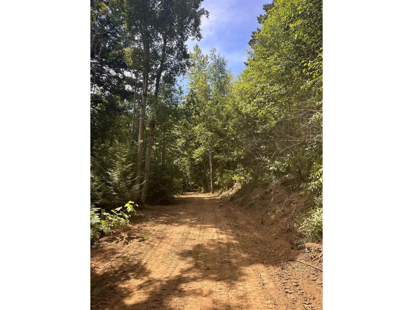 Acreage at 49780 LOOKOUT ROAD, Ryder Lake — photo 5 of 40