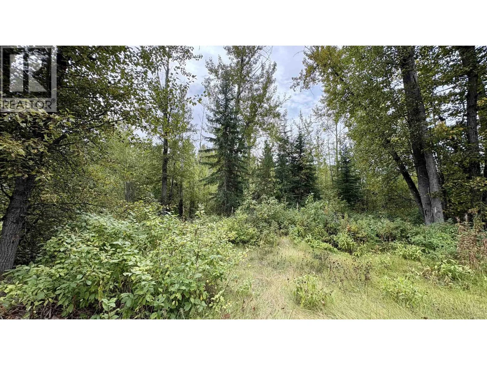 Vacant Land at LOT 25 MEADOWVIEW ROAD — photo 4 of 6