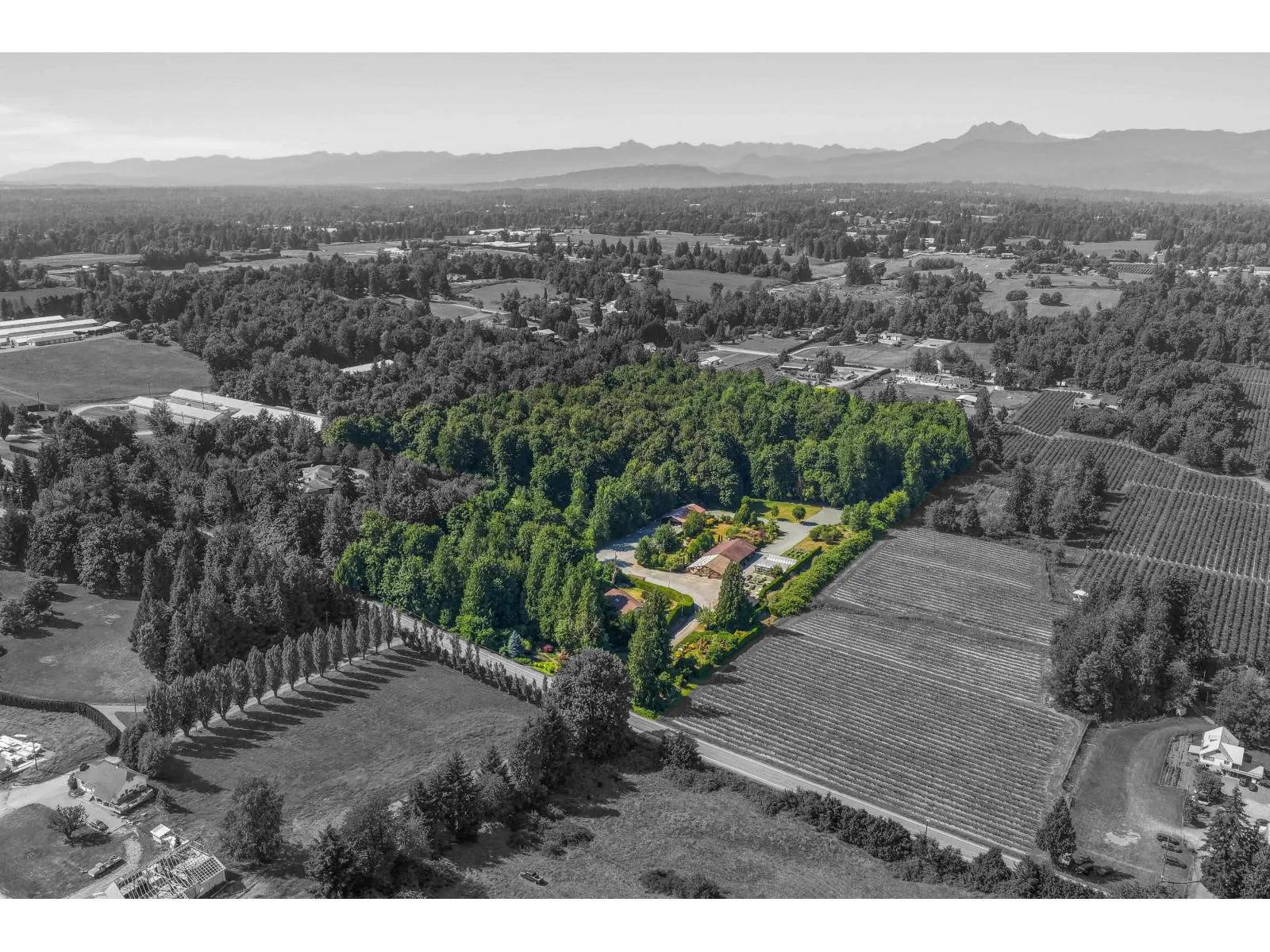 Acreage at 29985 DOWNES ROAD — photo 3 of 40