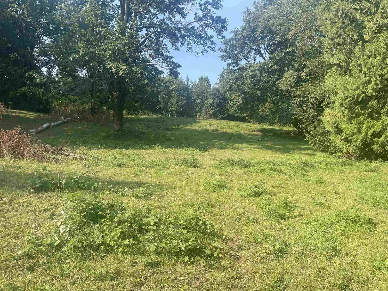 Acreage at 25839 24 AVENUE — photo 5 of 6