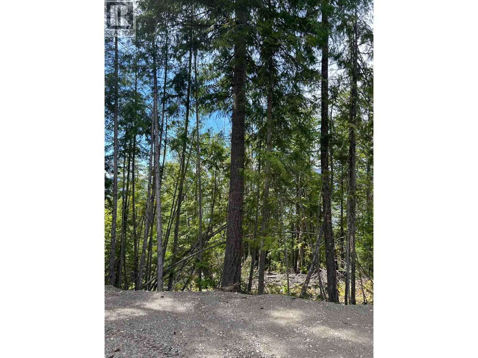 Vacant Land at 3560 Eagle Bay Road — photo 2 of 73
