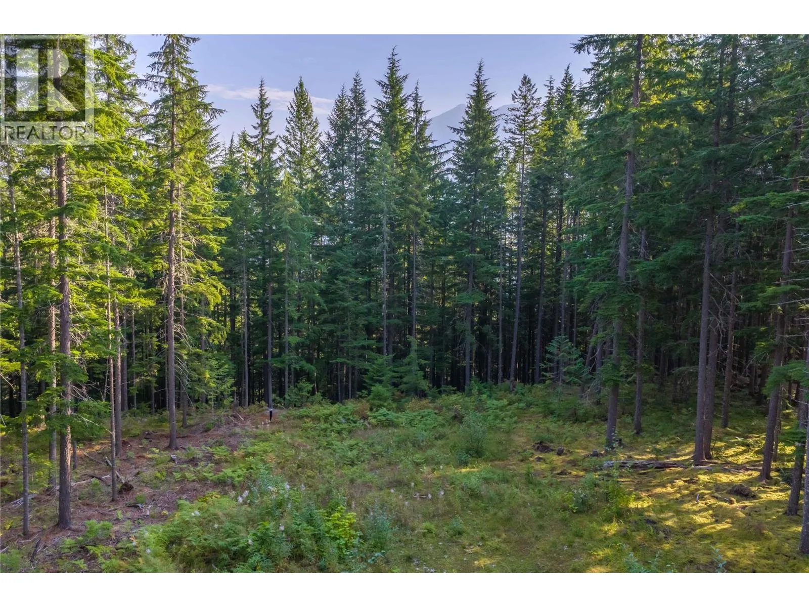 Vacant Land at 8044 23 South Highway — photo 4 of 58