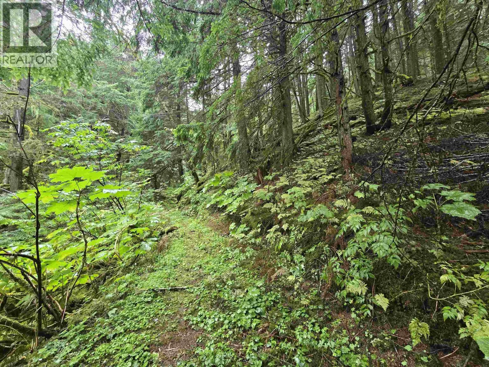 Vacant Land at LOT A USK — photo 5 of 8