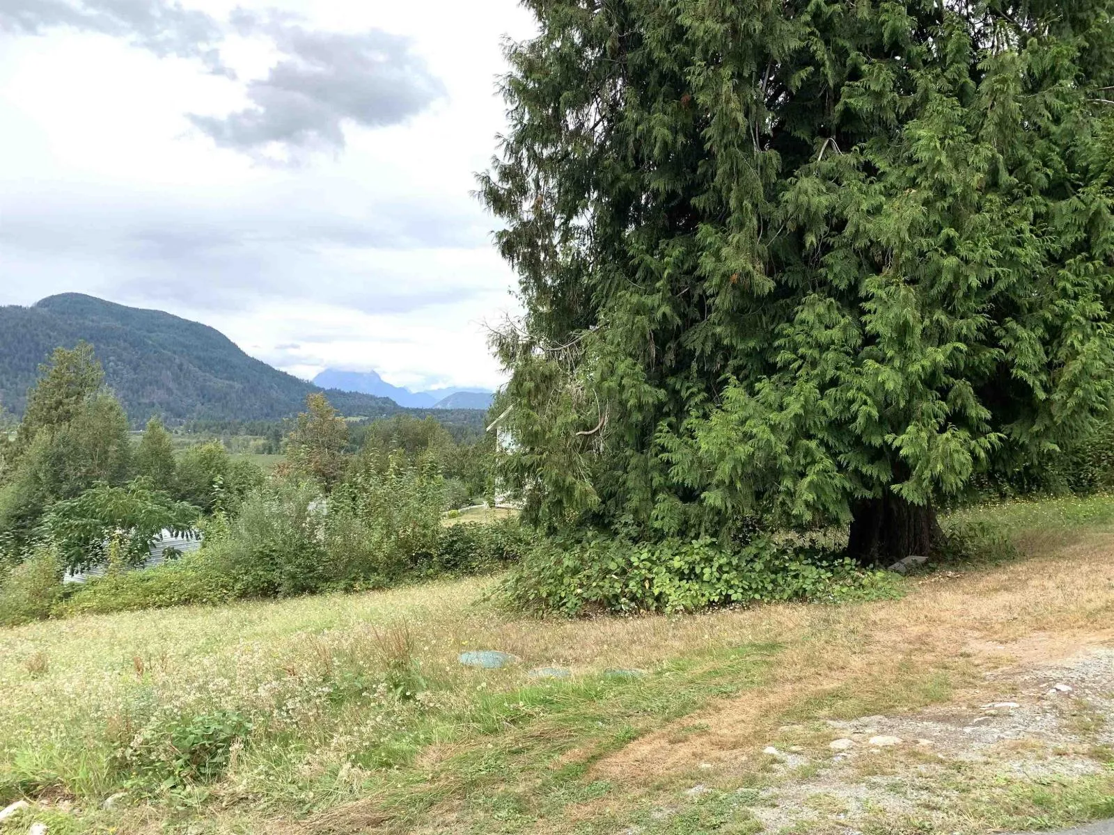 Acreage at 10710 SYLVESTER ROAD — photo 4 of 37